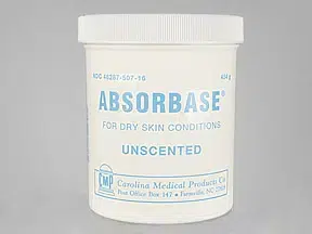 Absorbase