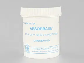Absorbase