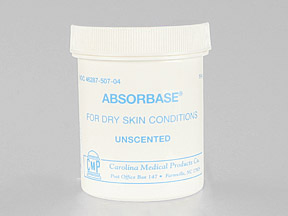 Absorbase