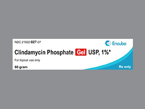Clindamycin Phos (Twice-Daily) Coupon - Clindamycin-phos-twice-daily Medication